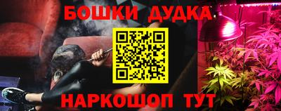 ешки Кингисепп