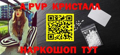 ешки Кингисепп