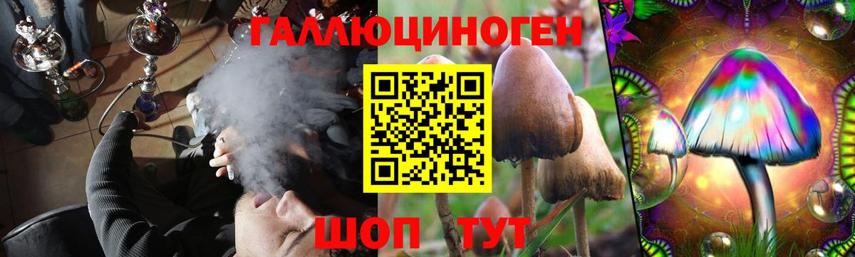 Галлюциногенные грибы мицелий Ярославль