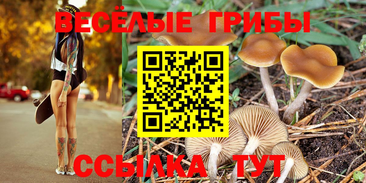 Псилоцибиновые грибы Psilocybine cubensis  Галлюциногенные грибы Magic Shrooms  сколько стоит  Вход с VPN  Ярославль 